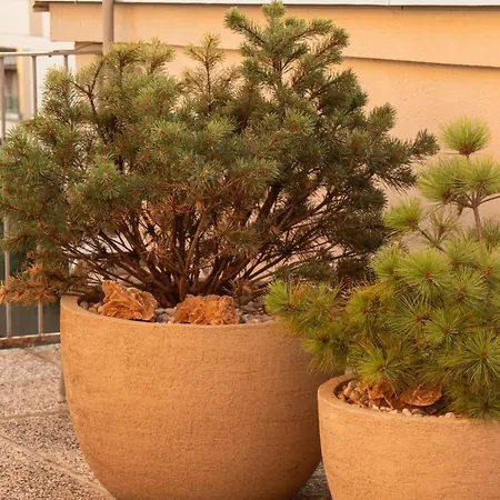 Pinia Centre Modern Lublaň