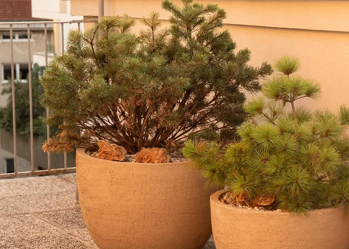 Pinia Centre Modern ليوبليانا