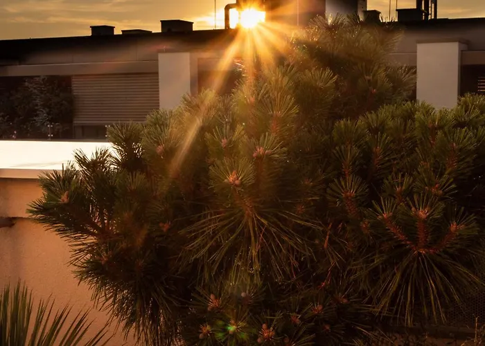 Pinia Centre Modern * Lublaň